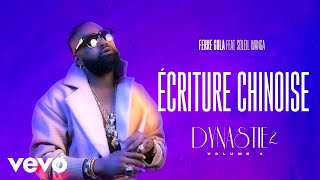 FERRE GOLA  ÉCRITURE CHINOISE Visualizer ft SOLEIL WANGA [upl. by Dihahs654]