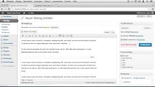 Beiträge und Seiten erstellen  WordPress 3 [upl. by Attolrahc]