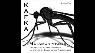 The Metamorphosis by Franz Kafka Free Audio Book in English Language [upl. by Stace]