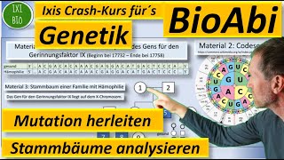 Genetik Anwendungsaufgabe AFB II Art der Mutation herleiten  Stammbaum analysieren  BioAbi 2023 [upl. by Oicinoid311]