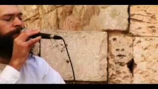 Matisyahu  Late Night in Zion Live in Israel [upl. by Gamin303]