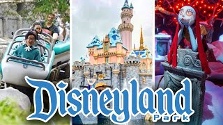 Disneyland Rides  2024 POVs  4K 60FPS [upl. by Benjamen666]