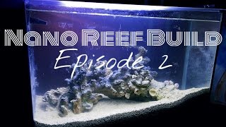 Nano Reef Build Fishless Cycling [upl. by Ecinaj885]