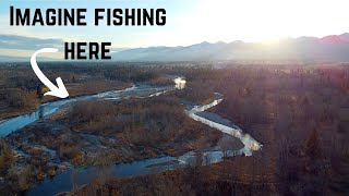 FLY FISHING for Trout on the BEAUTIFUL Bitterroot River [upl. by Assedo]