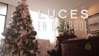 ¿Cómo colocar las luces en el árbol navideño [upl. by Nehgam]