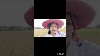 Aghunor potharot assamese music song assamesesong like [upl. by Schiffman77]