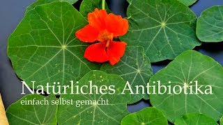 Natürliches Antibiotika [upl. by Felicio]