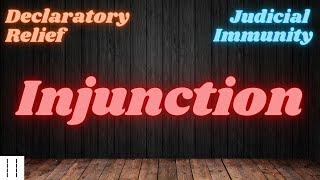 Court 101 Injunction Declaratory Relief and Judicial Immunity [upl. by Ricardo]