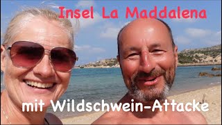 Insel La Maddalena amp Verlust der Badehose durch Wildschweinattacke Sardinien mit dem Wohnmobil 04 [upl. by Sergo]