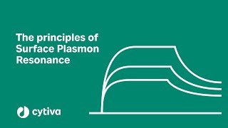 Principles of surface plasmon resonance SPR used in Biacore™ systems  Cytiva [upl. by Durwood]