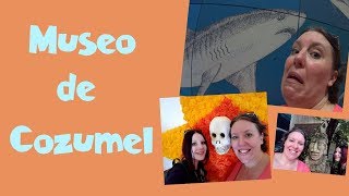 Cozumel Island Museum Crown Princess Mexico Cruise Vlog ep17 [upl. by Iover]