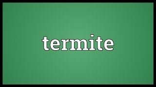 Termite Meaning [upl. by Frentz225]