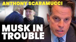 Anthony Scaramucci Trump will unleash hell on Elon Musk ‘in a matter of time’ [upl. by Pool]