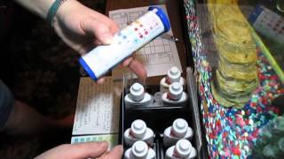 Aquarium Chemistry Part 1 The difference between strips and vials [upl. by Myrna]