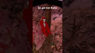 Go get him Rufus gorillatag gtag vr shorts [upl. by Annehcu]