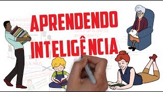 COMO ESTUDAR CORRETAMENTE do Livro Aprendendo Inteligência  Prof Pier  Seja Um Estudante Melhor [upl. by Amlet609]