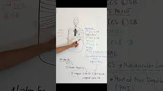 Cardiac Landmarks anatomyandphysiology nursingskills nursingschool [upl. by Peih]