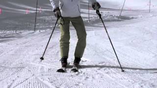 Harald Harb quotHow to Skiquot Series 1 Lesson 1 Beginning Parallel Skiing [upl. by Agon]