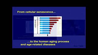 Longueur des télomères  de la sénescence cellulaire aux trajectoires du vieillissement humain [upl. by Lynsey]