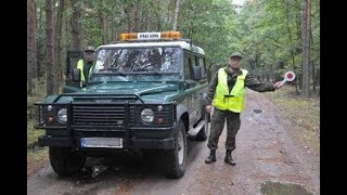 Straż leśna vs Enduro Konsekwencje wjechania do lasu motocyklem KTM na sprzedaż [upl. by Anwahsar]