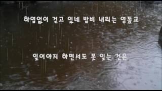 비내리는 영동교  하모니카1인2중주Harmonica FVineta황진이하모니카01034029111 [upl. by Anatole]