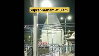 Suprabhatham at 3 am [upl. by Mavra]