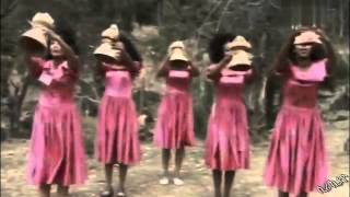 Haylu Disasa  Amma Yaamarii  Oromo Music [upl. by Onivag717]