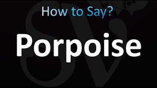 How to Pronounce Porpoise correctly [upl. by Alleber]