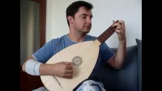 Valentin Bakfark  Lute fantasia on Polish chanson from XVIc quotBlack Cowquot [upl. by Lerner690]