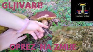 ZLATAR Ep 3 GLJIVA I ZMIJA 🍄🐍 [upl. by Sinnaoi189]