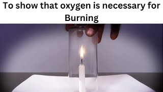 To show that oxygen is necessary for burning 🤯 experiment practical BiratScience [upl. by Sesmar]