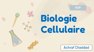 Biologie Cellulaire  Plan du Cours [upl. by Llatsyrc]