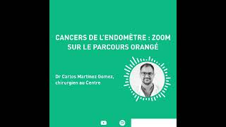 Cancers de l’endomètre  zoom sur le parcours orangé [upl. by Damales]