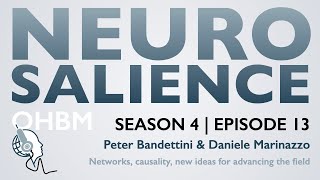 Neurosalience S4E13 with Daniele Marinazzo  Networks causality new ideas to advance the field [upl. by Duvall391]