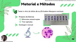 Ação in vitro do extrato etanólico de Ocotea daphnifolia sobre Neospora caninum [upl. by Votaw617]