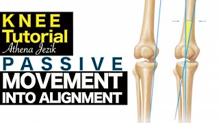 Athena Jezik  Passive Movement Into Alignment  Knee Tutorial [upl. by Lodnar]