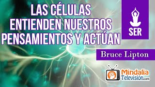 Las células entienden nuestros pensamientos y actúan Entrevista a Bruce Lipton [upl. by Nahtaoj]