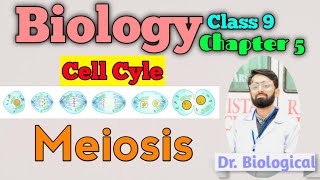 Biology Chapter 5  Meiosis  Crossing Over  Chiasmata  Tetrad  Class 9 Biology [upl. by Adyahs165]