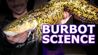 BurbotEelpout Tracking Study Results [upl. by Schlenger554]