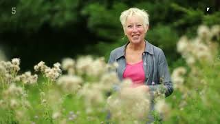 🔴 Gardeners World 2022  Gardening with Carol Klein 2022 Series 13 Episode 1 [upl. by Sky]