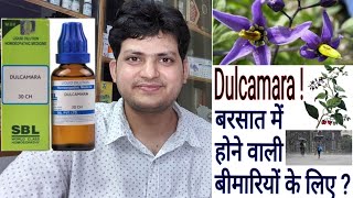 Dulcamara  Homeopathic Medicine Dulcamara  for Diseases of rainy season amp Damp Weather [upl. by Eseerehs]