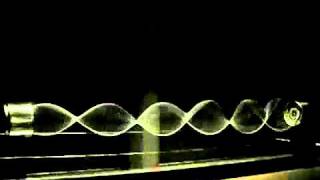 Standing Waves Generated by String Vibration [upl. by Loos155]