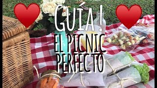 GUÍAEL PICNIC PERFECTO [upl. by Nwahsor]