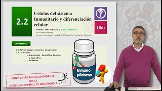 22 CÉLULAS DEL SISTEMA INMUNITARIO Y DIFERENCIACIÓN CELULAR [upl. by Naivatco]