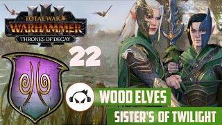 FOREST ENCOUNTER  Total War Warhammer 3 IE Part 22 Sisters of Twilight Campaign [upl. by Zobe]