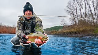 Winter River Trout Fishing the Taneycomo [upl. by Marillin]