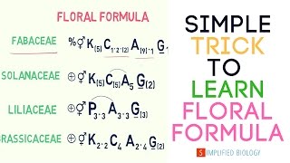 Floral Formula for NEET AIIMS AIPMT JIPMER [upl. by Prent]