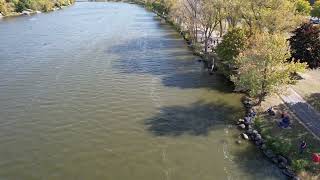 St Ignatius Chicago Rowing at Head of the Rock 2024 DJI 0152 [upl. by Garap]