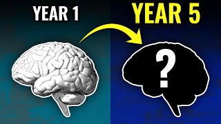 How Years Of Language Learning Affects Your Brain [upl. by Sloane]