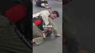 Joe Rogans Revolutionary Jiu Jitsu Trainer [upl. by Aldora352]